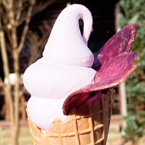 新商品「紫芋ソフトクリーム」